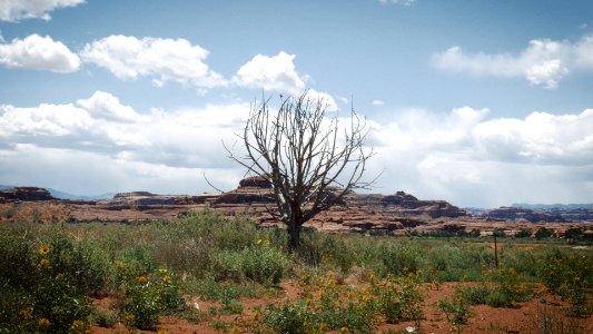 Utah, Canyonl, S national park
