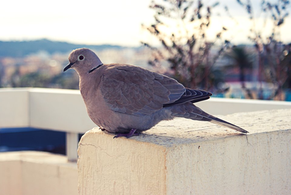 France, Antibes, Blur