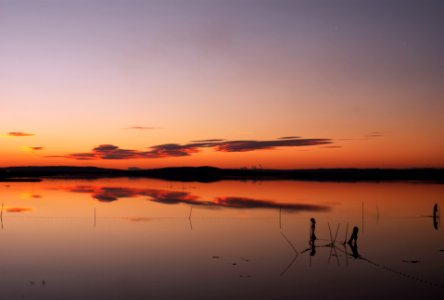 body of water during golden hour photo