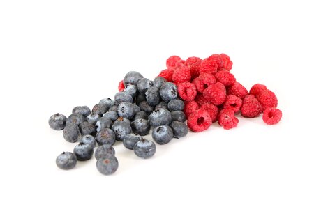 Berry fruit orn mikbe ferries