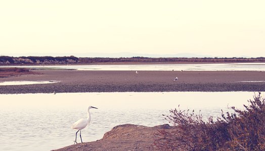 France, Digue  la mer, Saintesmariesdelamer