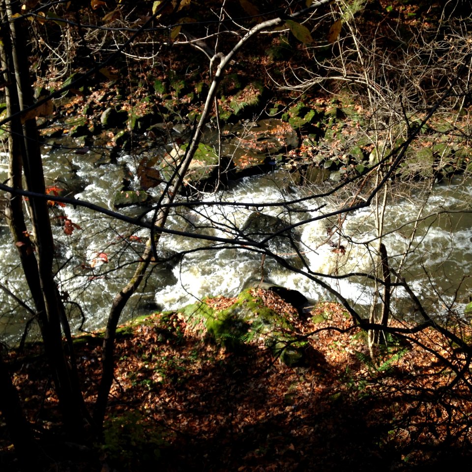 Flowing, Rocks, Stream photo