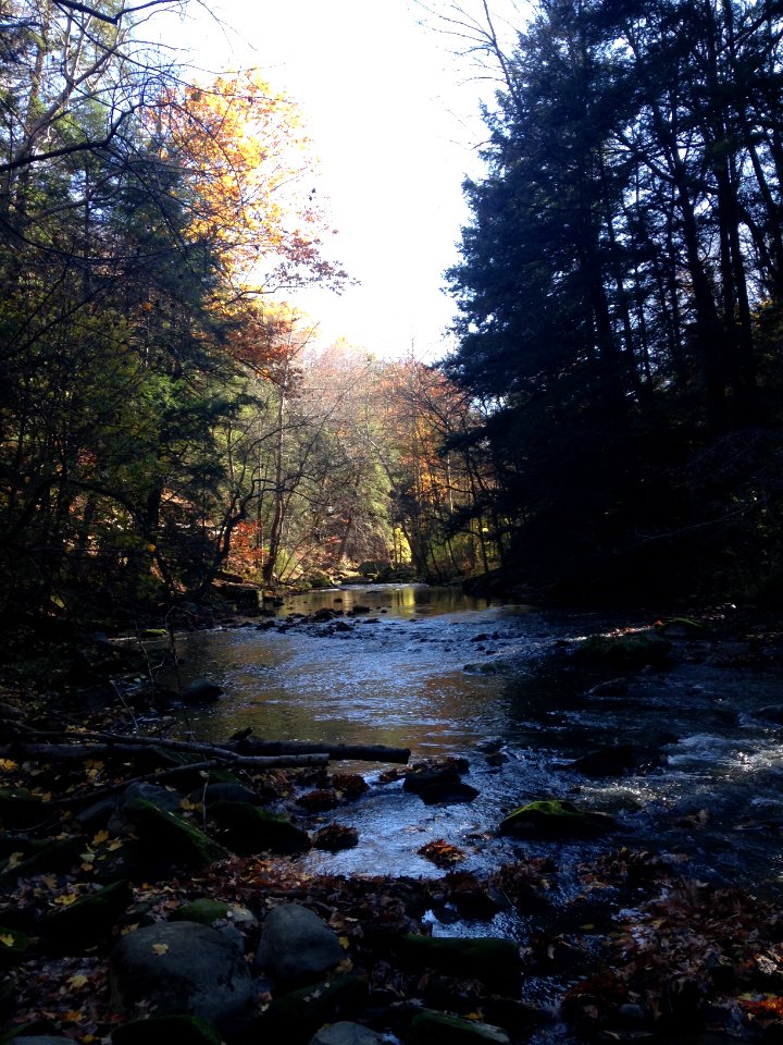 Idora, Youngstown, Ohio