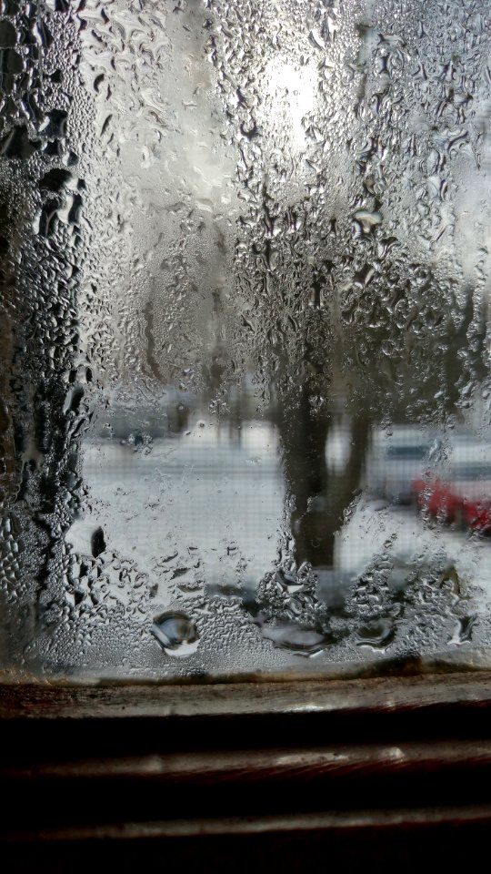 Window, Wood, Winter