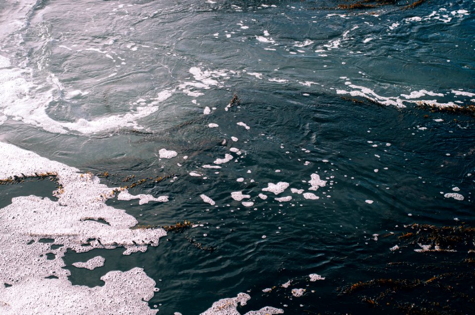 Monterey, United states, Bubbles