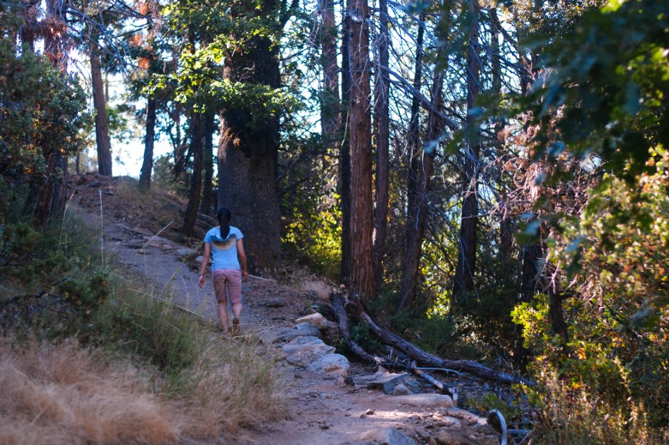 Yosemite national park, United states, Hiking trail