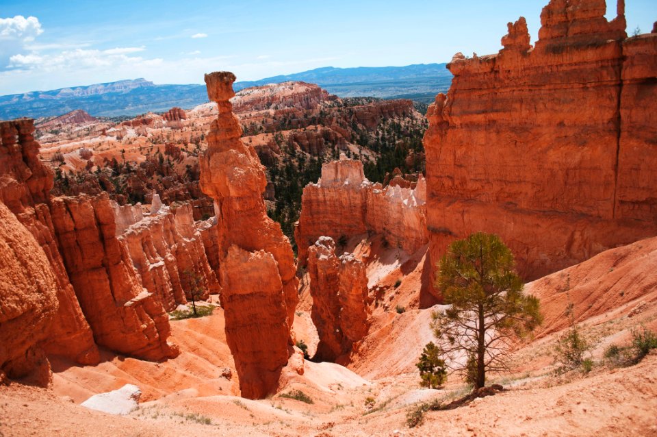 Bryce canyon, United states, Travel photo