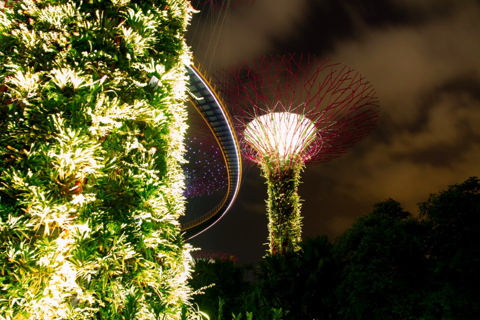 Singapore botanic gardens, Singapore, Colour