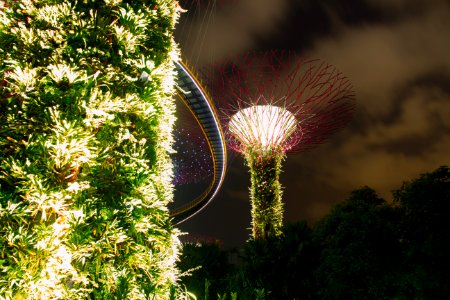 Singapore botanic gardens, Singapore, Colour photo