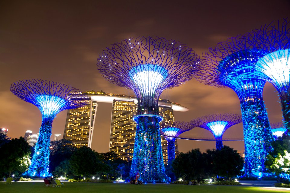Singapore, Singapore botanic gardens, Lights