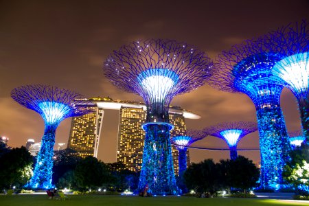 Singapore, Singapore botanic gardens, Lights