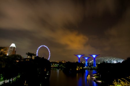 Singapore, Singapore botanic gardens, Skyline