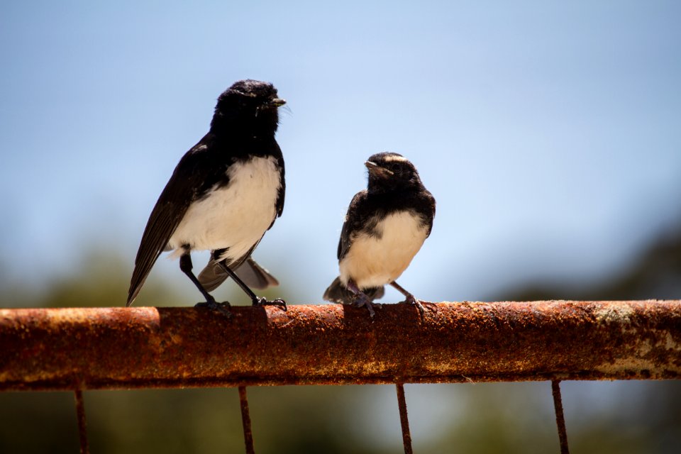 Perth, Australia, Sdhphotos