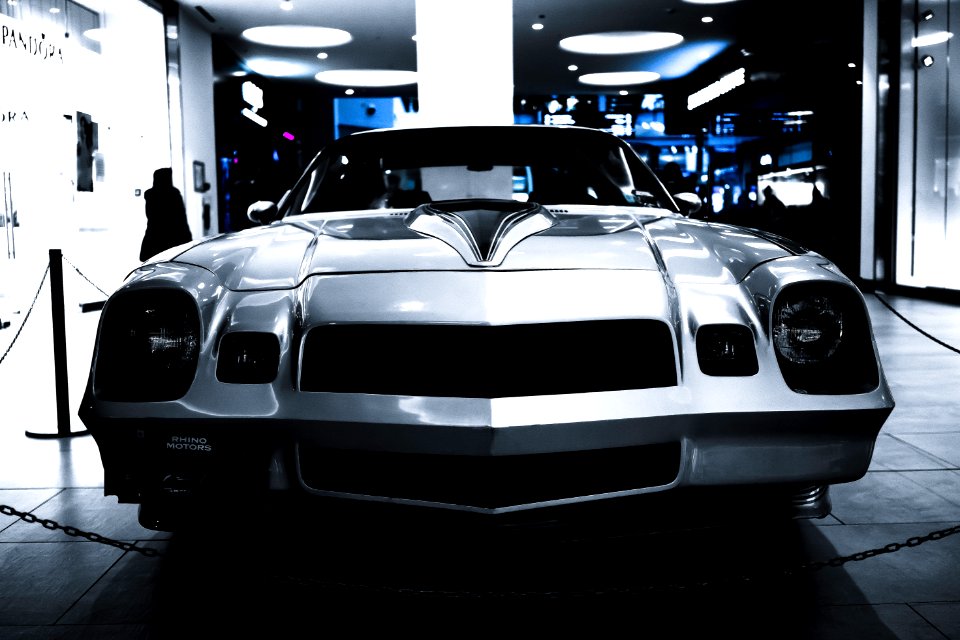 White, Muscle, Purple