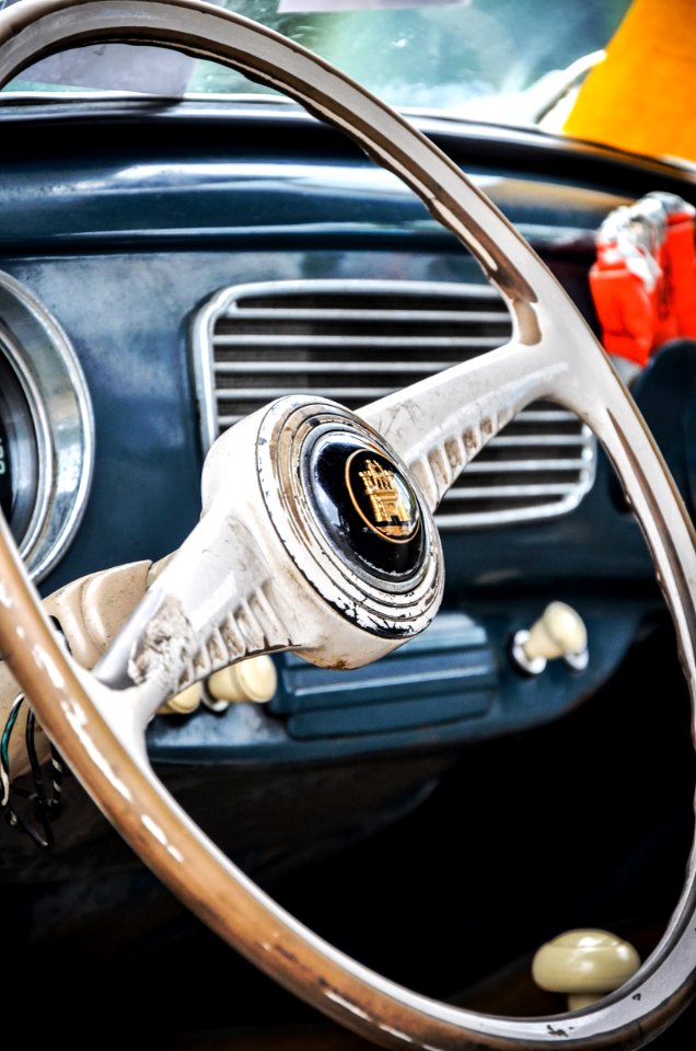 Kronach, Germany, Beetle
