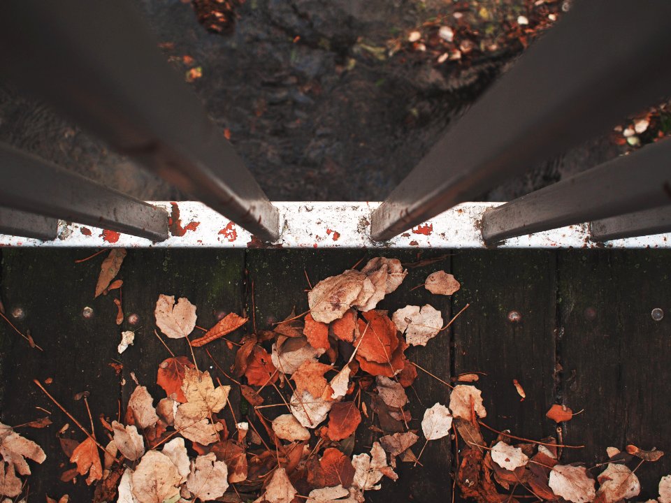 Kutna hora, Czech republic, Fallen leaves