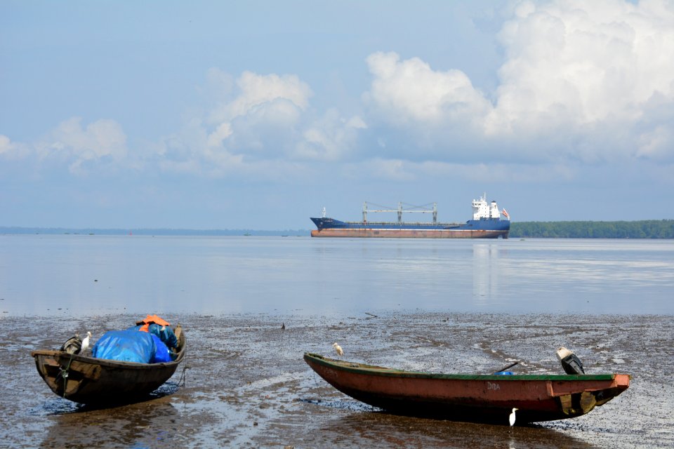 Cameroon, Wouri river, Mangroves