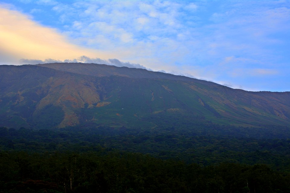 Nature, Mount cameroon national park, Cameroon