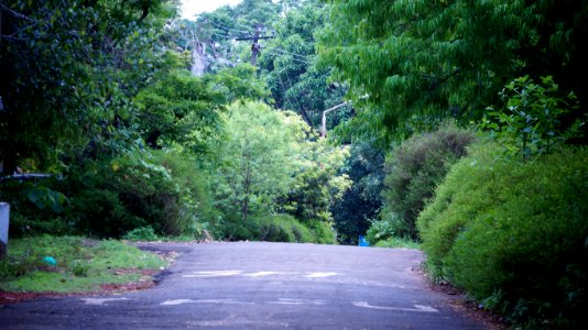 Tavanur, India, Photo
