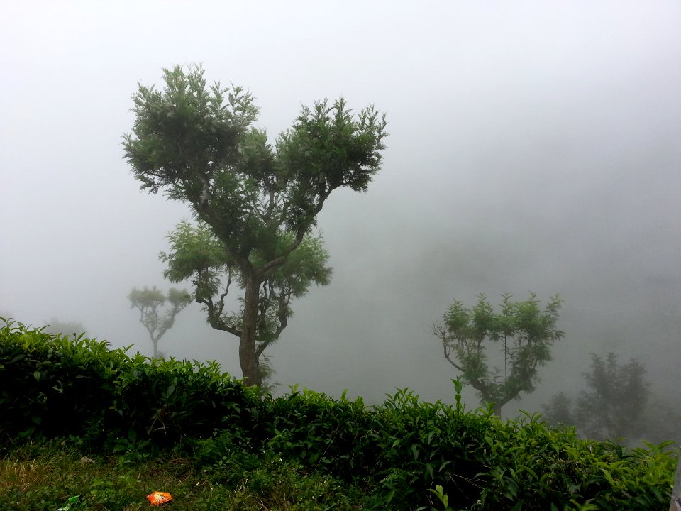Kotagiri, India, Photo