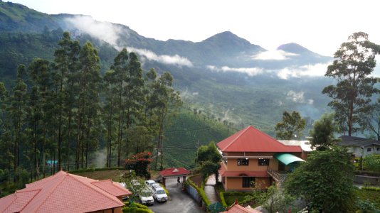 Munnar, India, Photographer