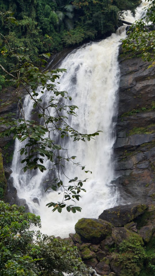 Munnar, India, Photography