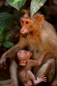Travel, Loveanimals, Photography