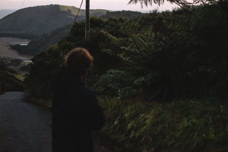 person standing on asphalt road in front of tree photo