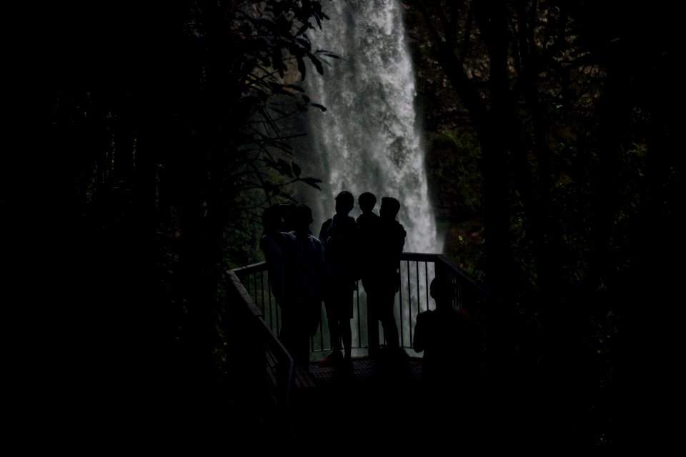 silhouette of peoples