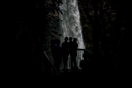 silhouette of peoples