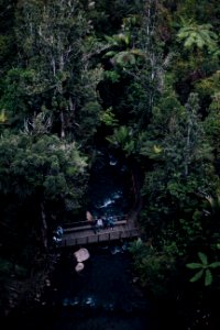 people standing near bridge viewing lake surrounded with tall and green trees photo