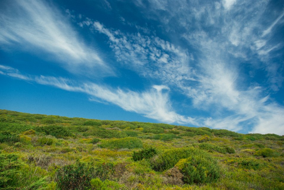 Portugal, Lush, Wilderness