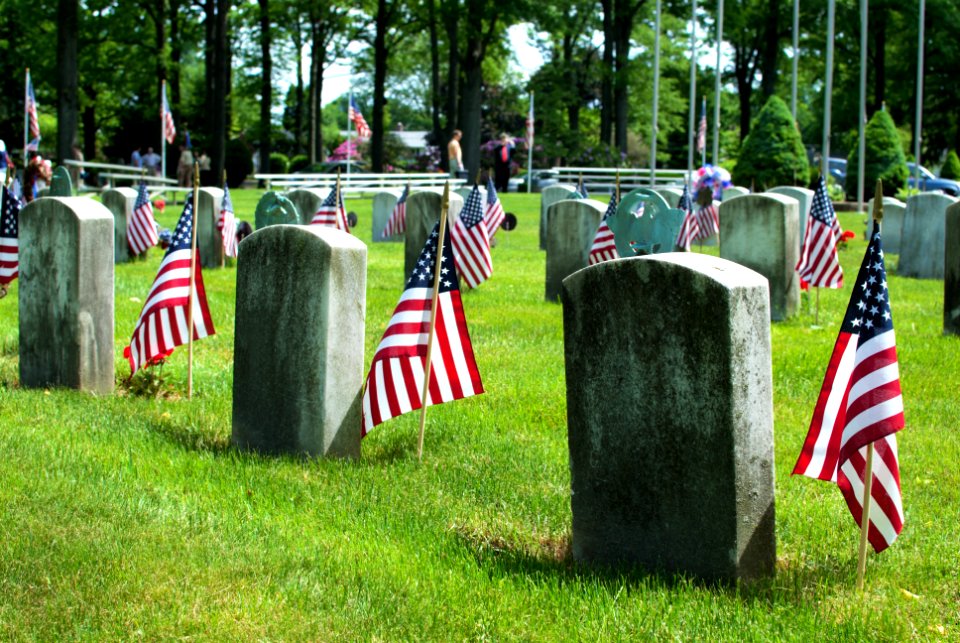 Memorial day, Flag, Il2016