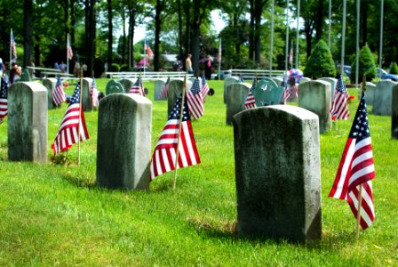 Memorial day, Flag, Il2016