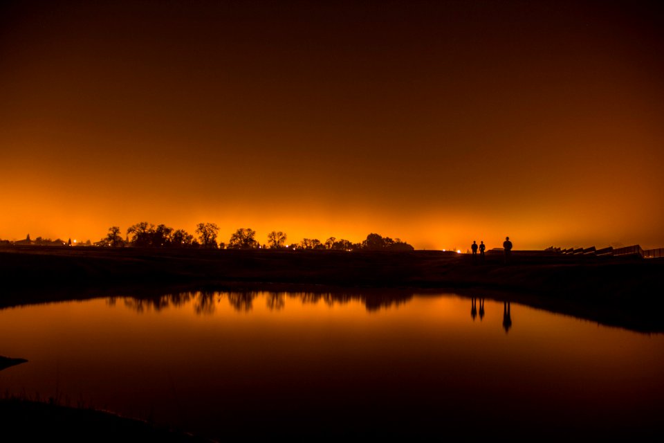 silhouette of people near trees photo