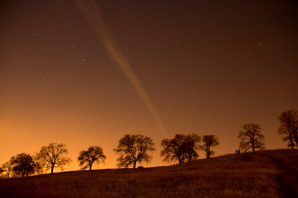 silhouette of trees and brown grass field