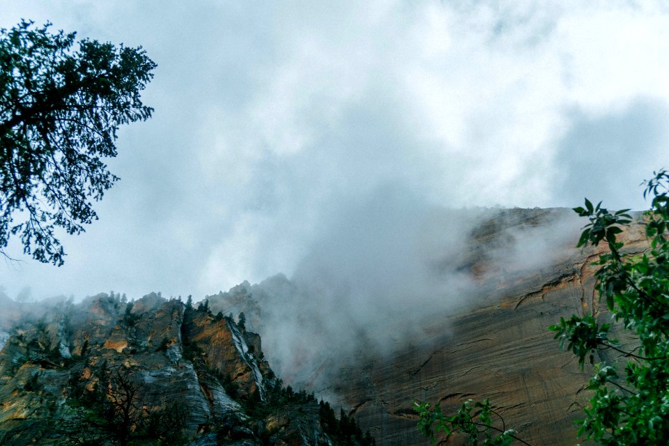 mountains and trees with fog