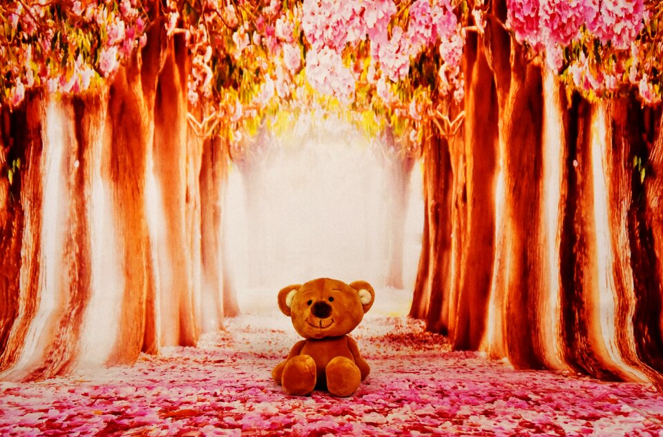 Soft toy stuffed animal cute