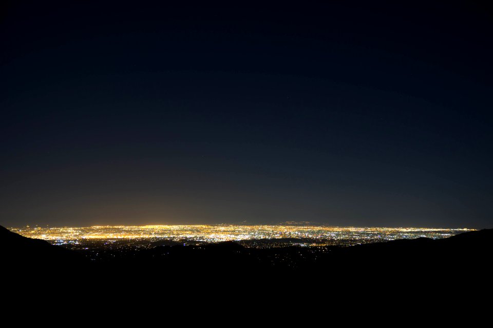 Downtown, Forest, Cityscape