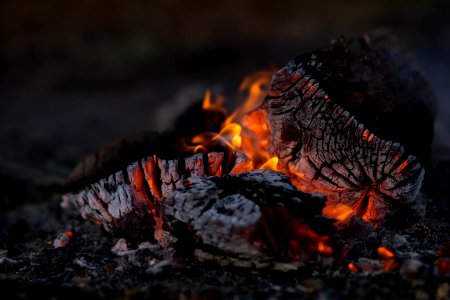 close photography of burning wood