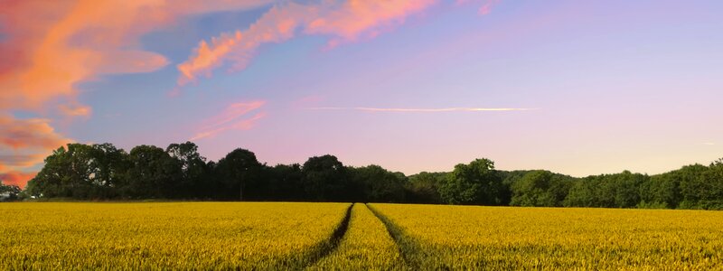 Header nature landscape