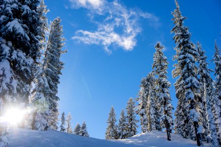 field and trees covered with snow under blue and white sky during daytime photo