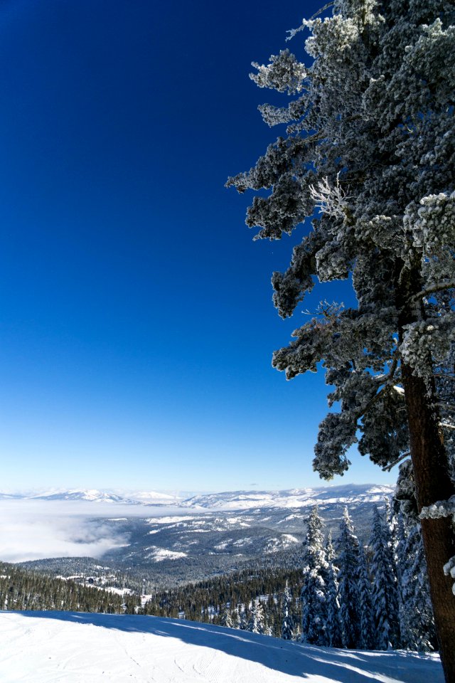 Blue, Northstarattahoe, Truckee