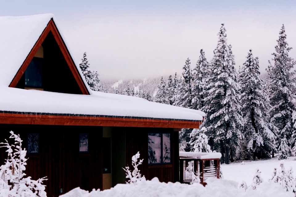 snow-covered house beside tree during daytime