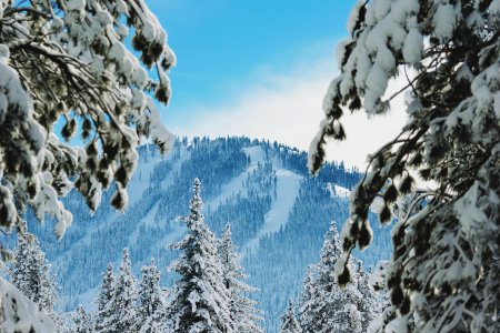 landscape photography of snow mountain photo