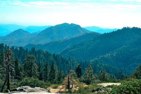 Sequoia national park, United states, Sierra nevada photo