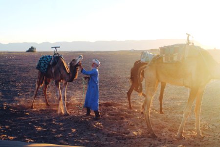 Morocco, Ouarzazate, Travel