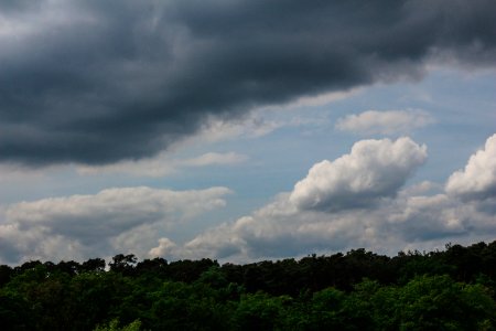 Gonsenheim, Mainz, Germany