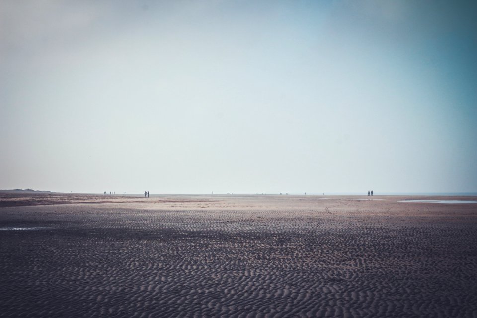 Domburg, Netherl, Dune