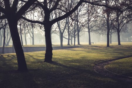 Mainz, Germany, Volkspark photo